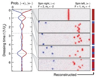 The image shows dynamics in a long-range interacting spin chain after a quantum quench. As a consequence of the interactions, the chain shows characteristic beating, with revivals signalling the long achieved coherence times. Figure adapted from Phys. Rev. X 7, 041063 (2017) The image shows dynamics in a long-range interacting spin chain after a quantum quench. As a consequence of the interactions, the chain shows characteristic beating, with revivals signalling the long achieved coherence times. Figure adapted from Phys. Rev. X 7, 041063 (2017)
