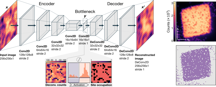 (left) Architecture of the neural network. (right) example reconstruction of a Mott insulator with ~ 2500 atoms. (left) Architecture of the neural network. (right) example reconstruction of a Mott insulator with ~ 2500 atoms.
