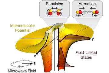 Field-linked resonances of polar molecules