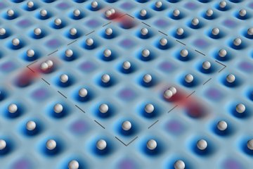 Observation of Brane Parity Order in Programmable Optical Lattices