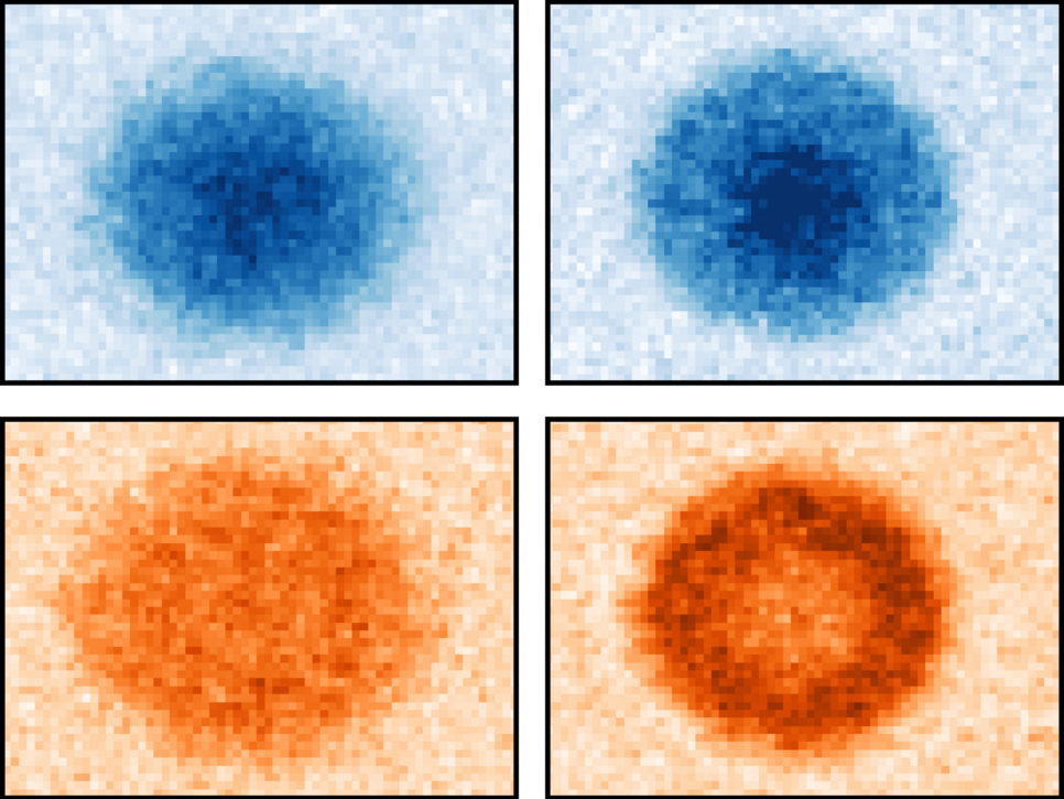 © G. Pasqualetti et al.