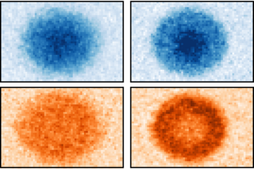 A detailed look into the 2D SU(N) Fermi-Hubbard Model