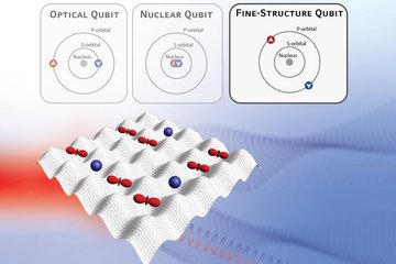 Fine-Structure Qubit Encoded in Metastable Strontium Trapped in an Optical Lattice