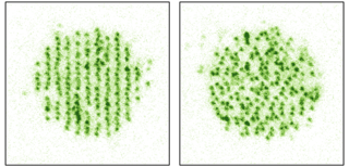 Image Superlattices under the microscope